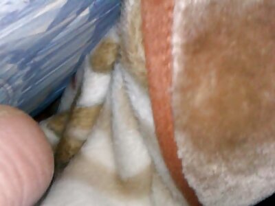 Vor langer Zeit, ein rothaariger Mann in einer reife frauen mit schönen brüsten Katze