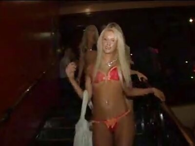 färse ohne Zeremonie Fingert Schwanzöl reife geile fotzen